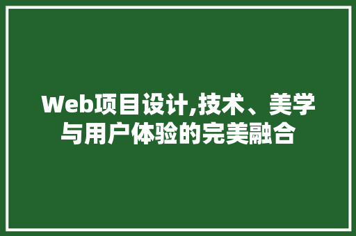 Web项目设计,技术、美学与用户体验的完美融合