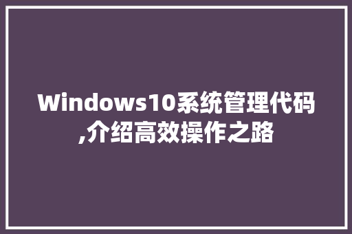 Windows10系统管理代码,介绍高效操作之路