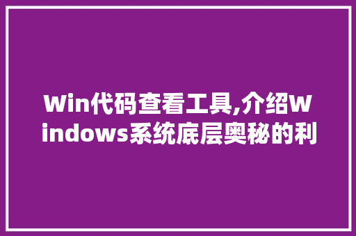 Win代码查看工具,介绍Windows系统底层奥秘的利器