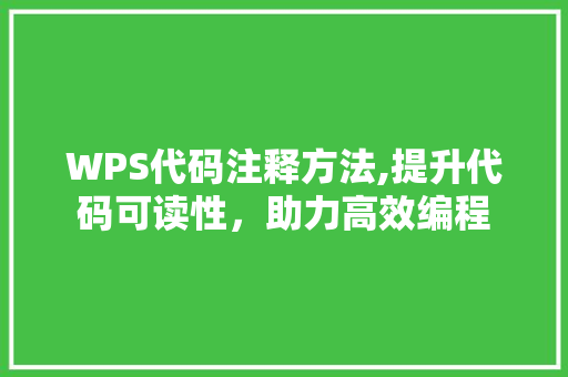 WPS代码注释方法,提升代码可读性，助力高效编程