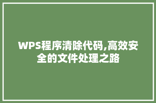 WPS程序清除代码,高效安全的文件处理之路