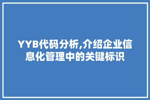 YYB代码分析,介绍企业信息化管理中的关键标识