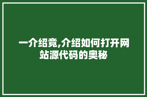 一介绍竟,介绍如何打开网站源代码的奥秘