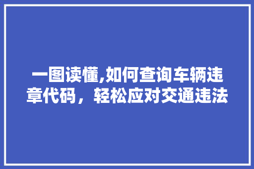 一图读懂,如何查询车辆违章代码，轻松应对交通违法行为