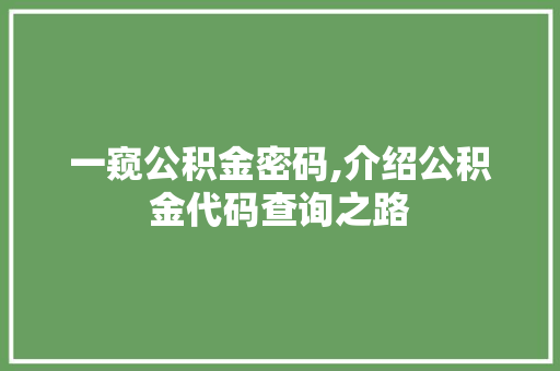 一窥公积金密码,介绍公积金代码查询之路