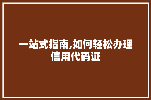 一站式指南,如何轻松办理信用代码证