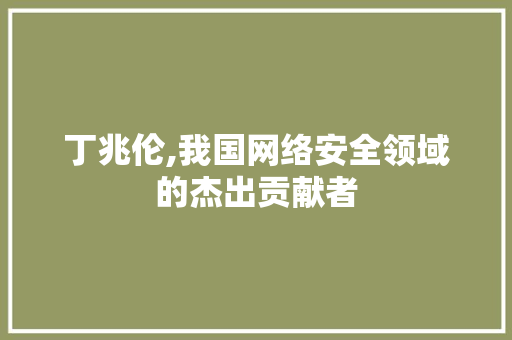 丁兆伦,我国网络安全领域的杰出贡献者