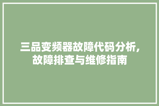 三品变频器故障代码分析,故障排查与维修指南