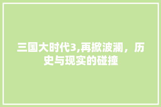 三国大时代3,再掀波澜，历史与现实的碰撞