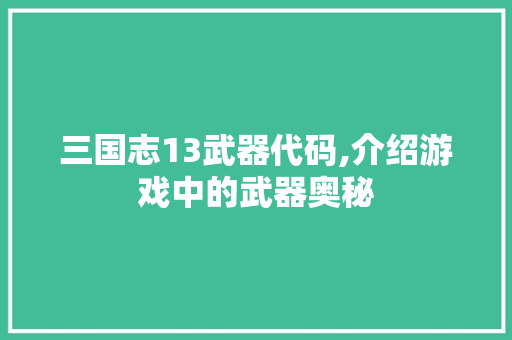 三国志13武器代码,介绍游戏中的武器奥秘