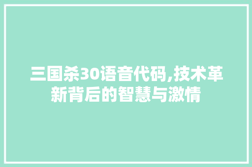 三国杀30语音代码,技术革新背后的智慧与激情