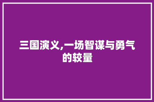 三国演义,一场智谋与勇气的较量