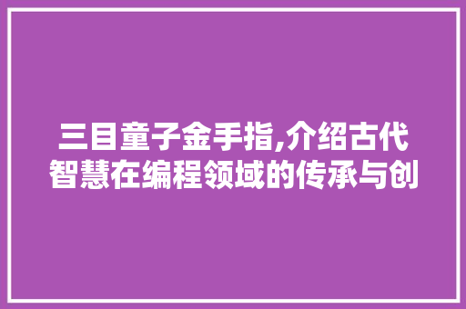 三目童子金手指,介绍古代智慧在编程领域的传承与创新