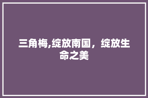 三角梅,绽放南国，绽放生命之美