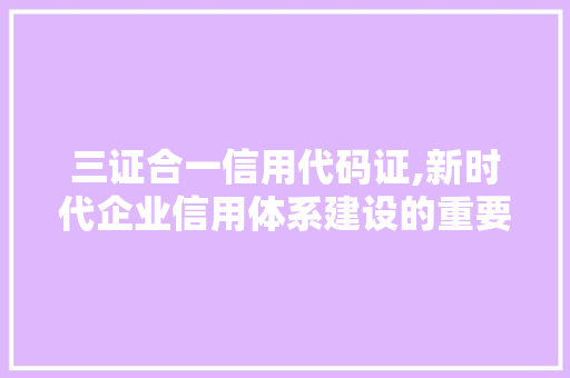 三证合一信用代码证,新时代企业信用体系建设的重要里程碑