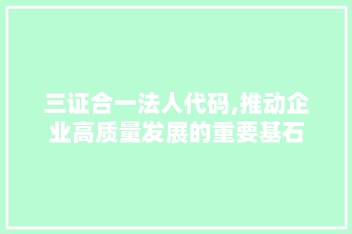 三证合一法人代码,推动企业高质量发展的重要基石