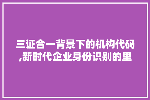 三证合一背景下的机构代码,新时代企业身份识别的里程碑