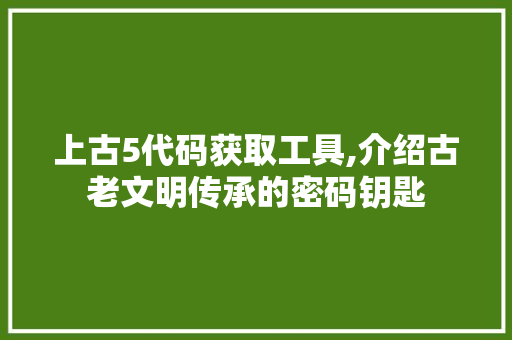 上古5代码获取工具,介绍古老文明传承的密码钥匙