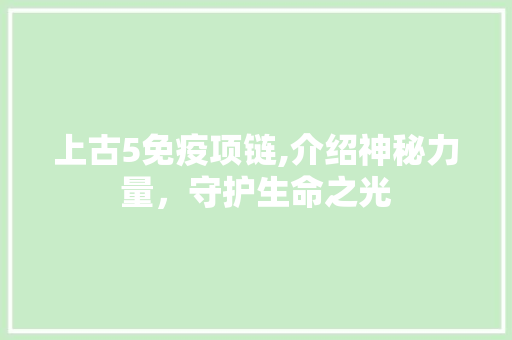 上古5免疫项链,介绍神秘力量，守护生命之光