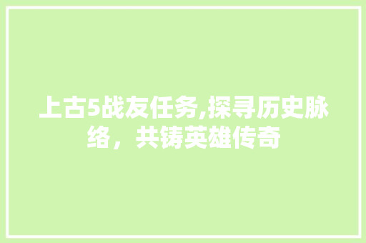 上古5战友任务,探寻历史脉络，共铸英雄传奇