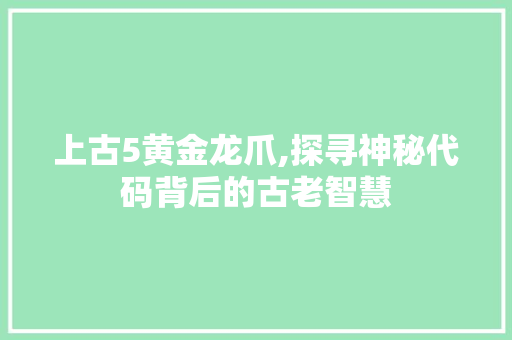 上古5黄金龙爪,探寻神秘代码背后的古老智慧