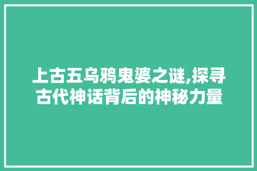 上古五乌鸦鬼婆之谜,探寻古代神话背后的神秘力量