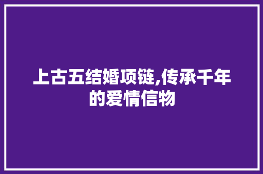 上古五结婚项链,传承千年的爱情信物