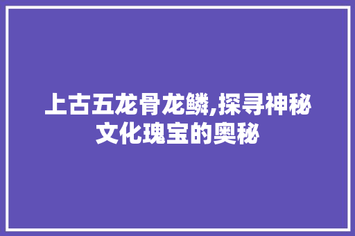 上古五龙骨龙鳞,探寻神秘文化瑰宝的奥秘