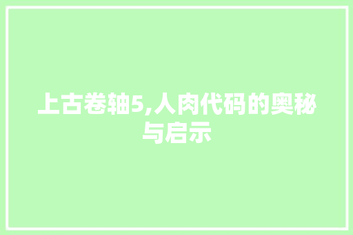 上古卷轴5,人肉代码的奥秘与启示