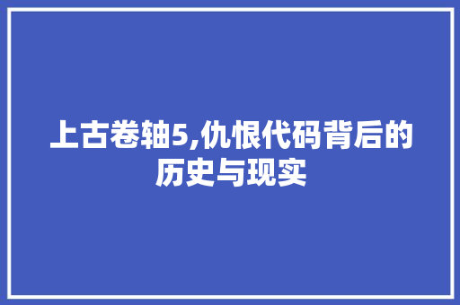 上古卷轴5,仇恨代码背后的历史与现实