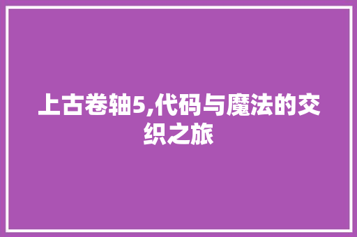 上古卷轴5,代码与魔法的交织之旅