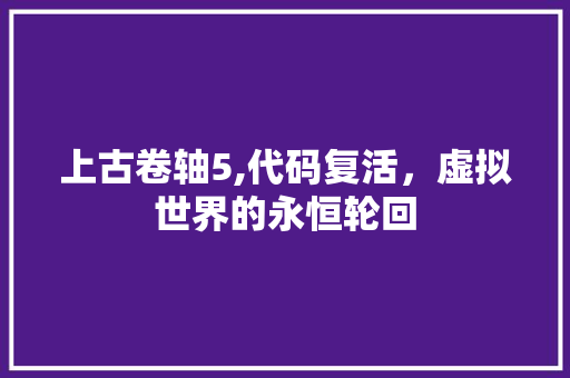 上古卷轴5,代码复活，虚拟世界的永恒轮回