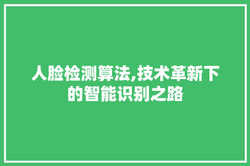 人脸检测算法,技术革新下的智能识别之路