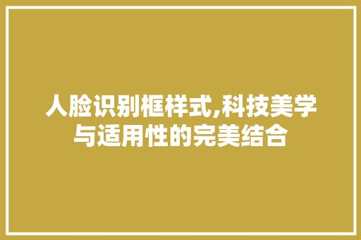 人脸识别框样式,科技美学与适用性的完美结合