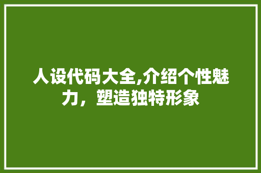 人设代码大全,介绍个性魅力，塑造独特形象