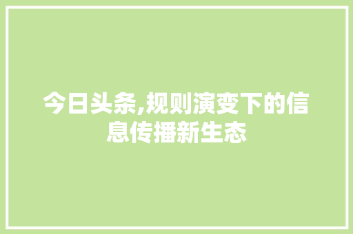 今日头条,规则演变下的信息传播新生态