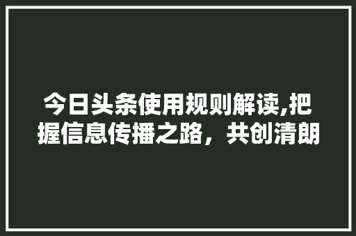 今日头条使用规则解读,把握信息传播之路，共创清朗网络空间