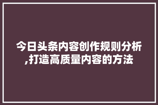 今日头条内容创作规则分析,打造高质量内容的方法