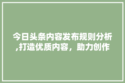 今日头条内容发布规则分析,打造优质内容，助力创作者成长