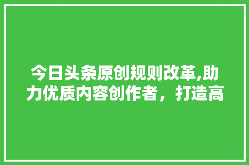 今日头条原创规则改革,助力优质内容创作者，打造高效内容生态