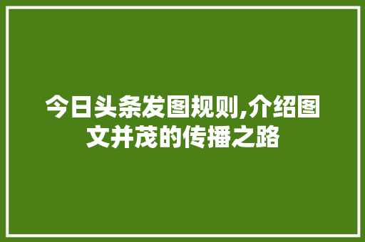 今日头条发图规则,介绍图文并茂的传播之路