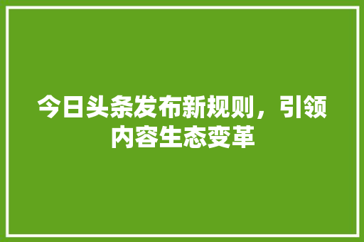 今日头条发布新规则，引领内容生态变革