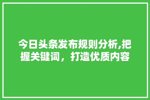 今日头条发布规则分析,把握关键词，打造优质内容