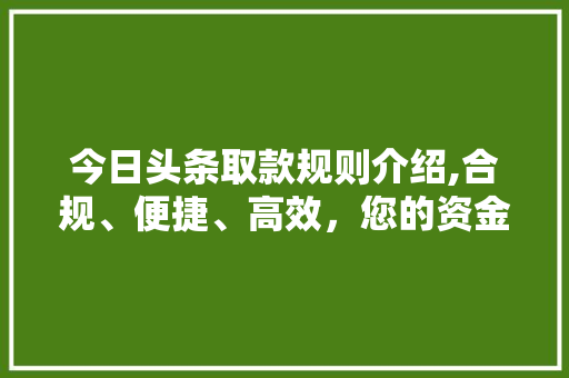 今日头条取款规则介绍,合规、便捷、高效，您的资金安全无忧