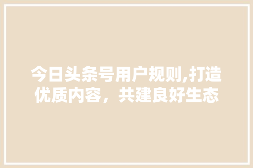 今日头条号用户规则,打造优质内容，共建良好生态