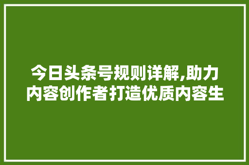今日头条号规则详解,助力内容创作者打造优质内容生态圈 Ruby