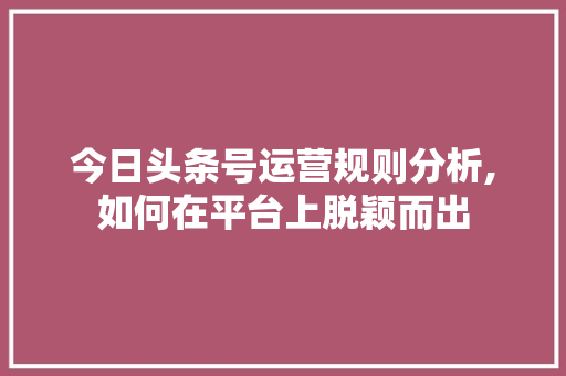 今日头条号运营规则分析,如何在平台上脱颖而出