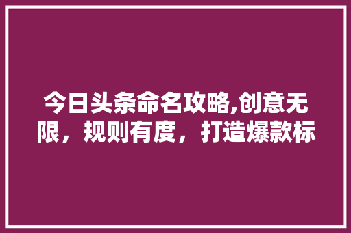 今日头条命名攻略,创意无限，规则有度，打造爆款标题