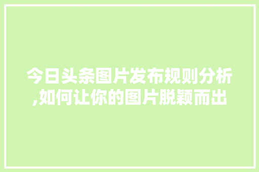 今日头条图片发布规则分析,如何让你的图片脱颖而出