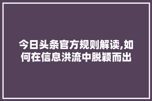 今日头条官方规则解读,如何在信息洪流中脱颖而出